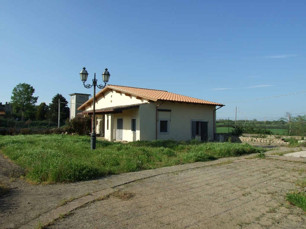 DSCF4354.JPG