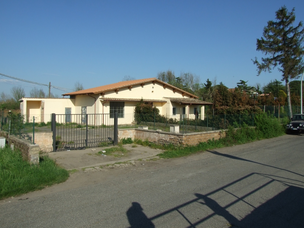 DSCF4356.JPG