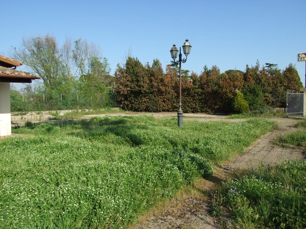 DSCF4359.JPG