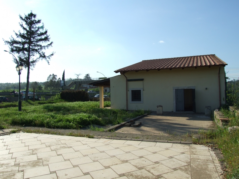 DSCF4361.JPG