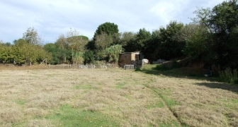 Terreno con casaletto in vendita a Nepi