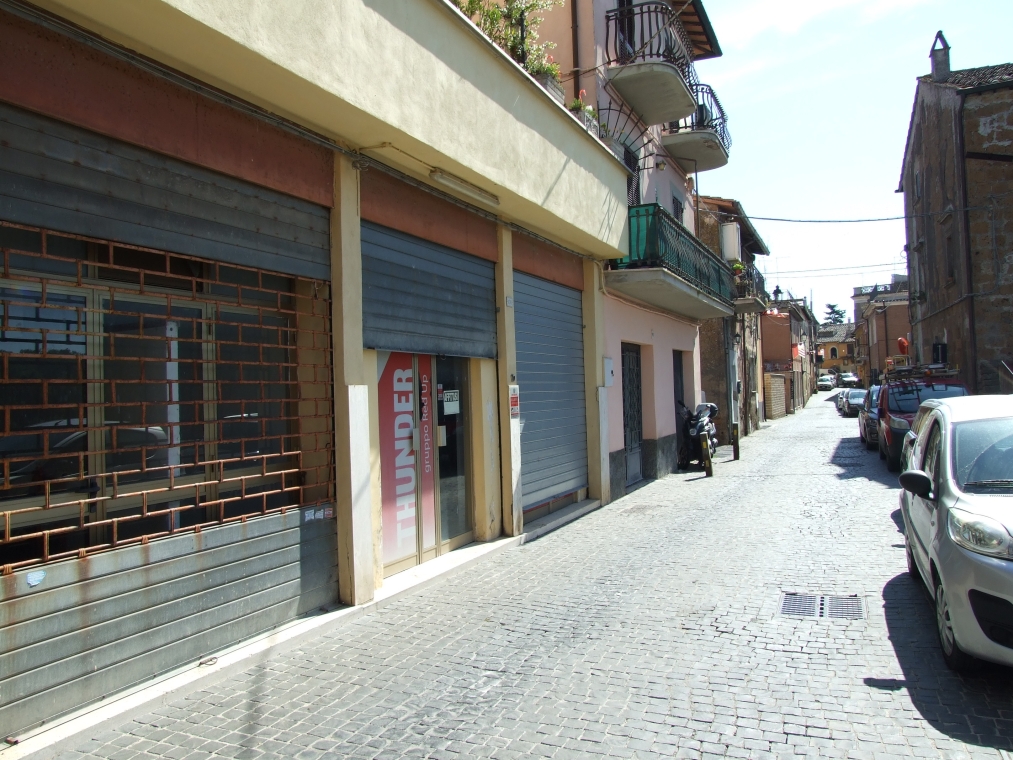 DSCF5205.JPG