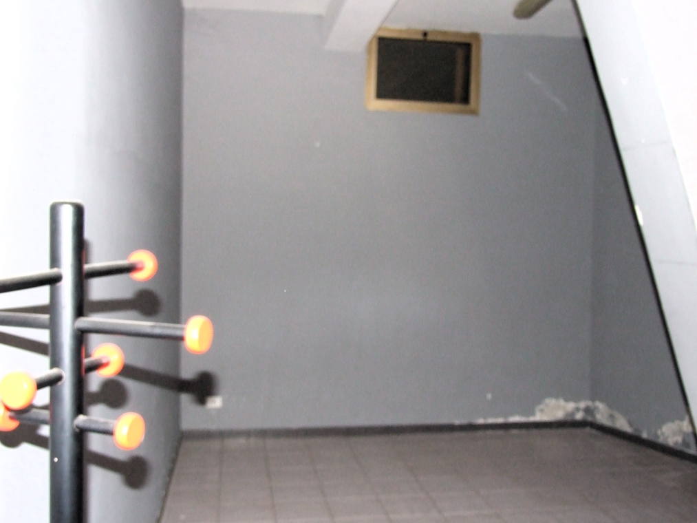 DSCF5215.JPG
