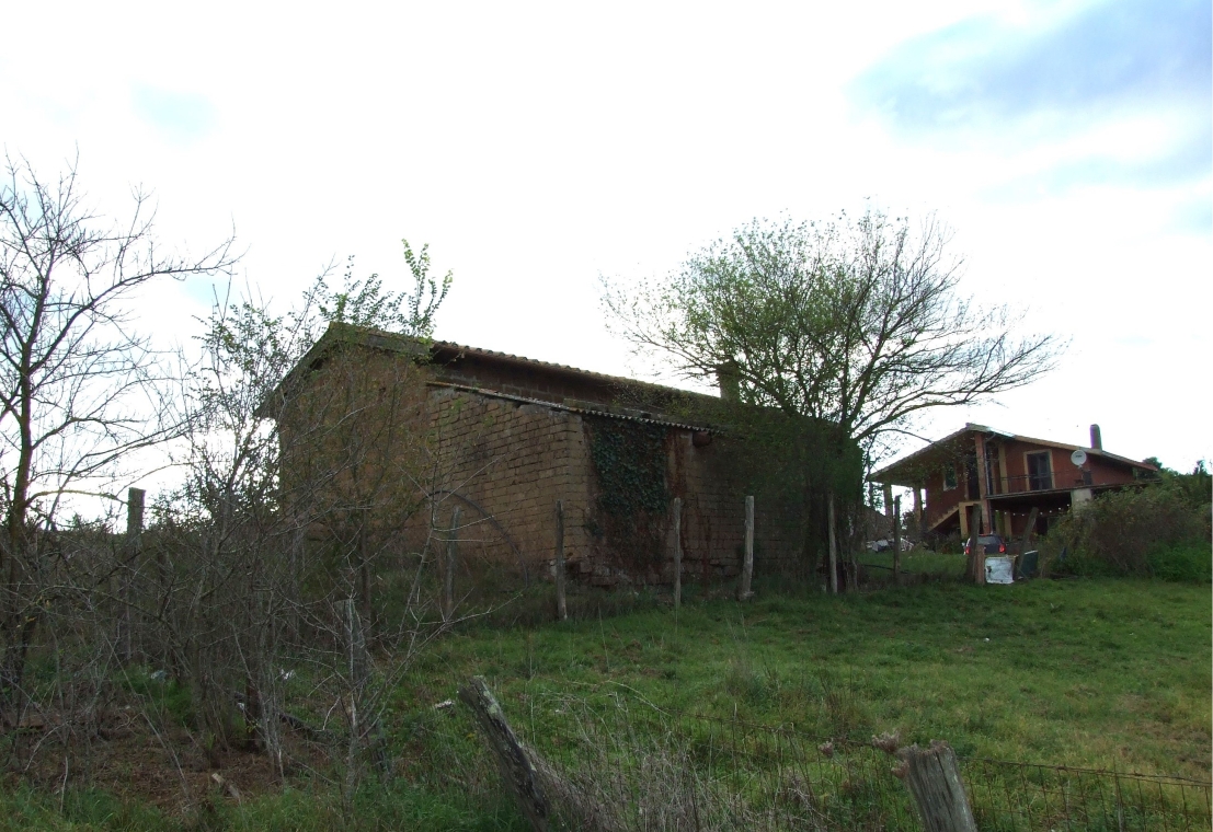 DSCF5305.JPG