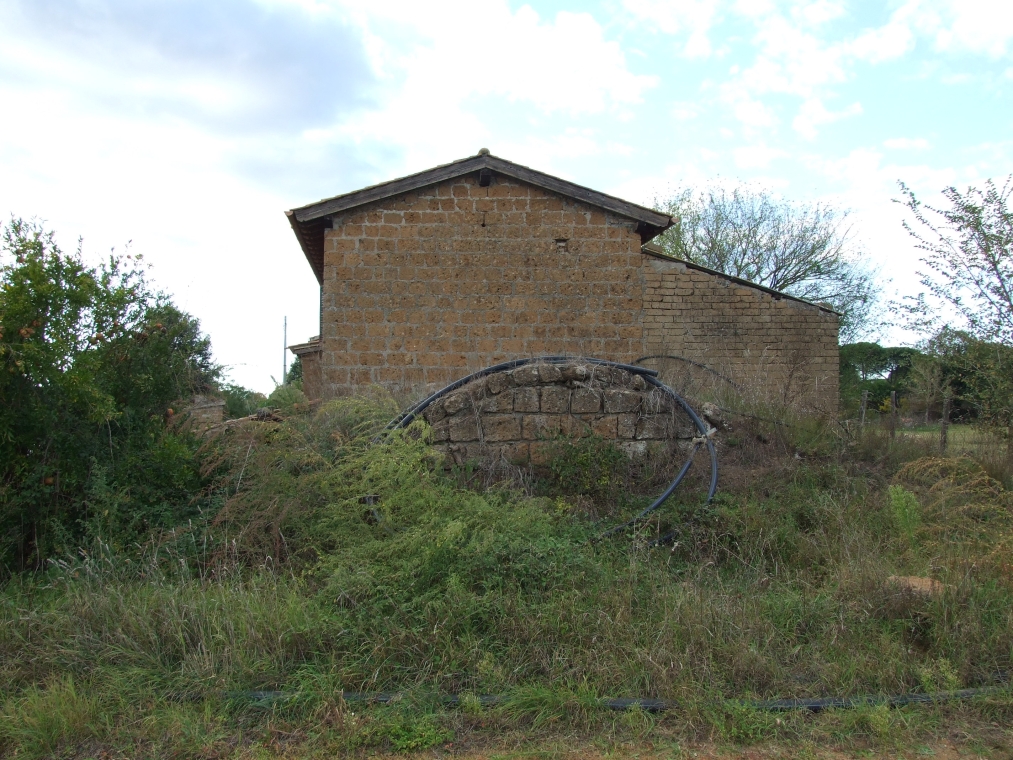 DSCF5304.JPG