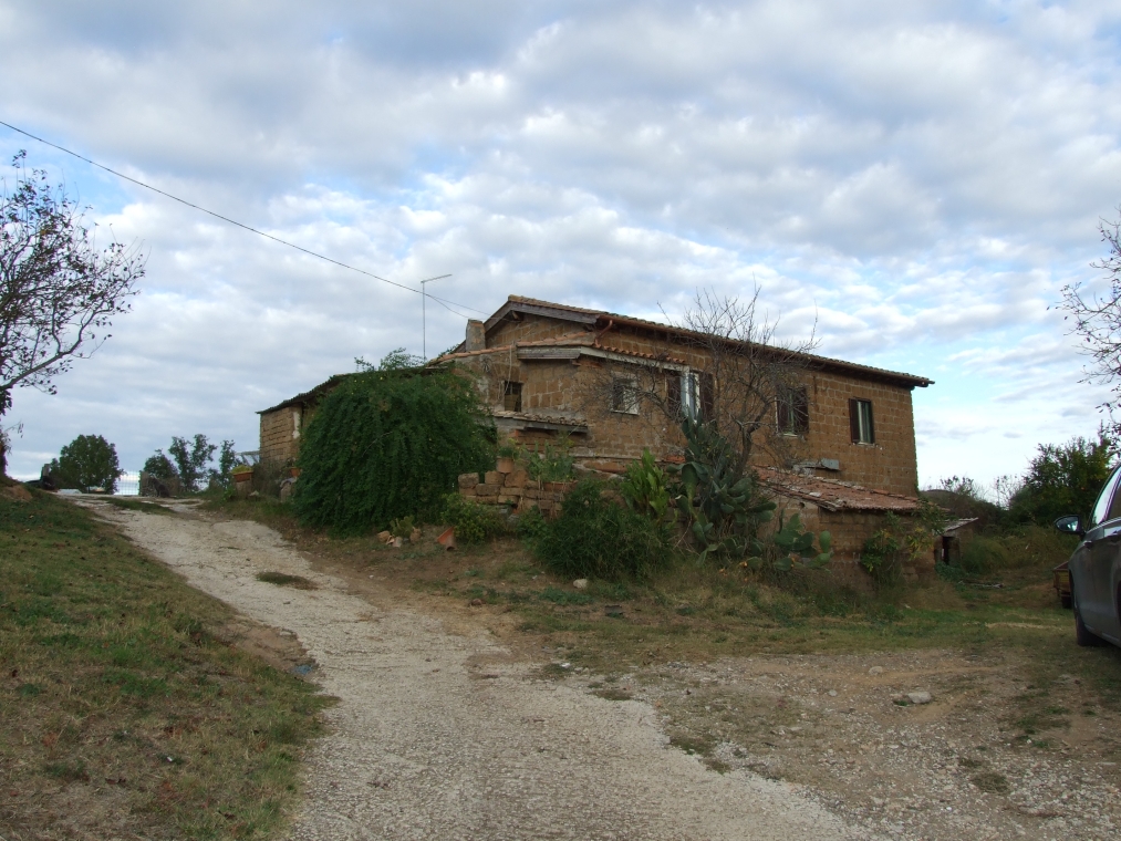 DSCF5306.JPG