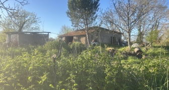 Terreno con fabbricati in vendita a Nepi