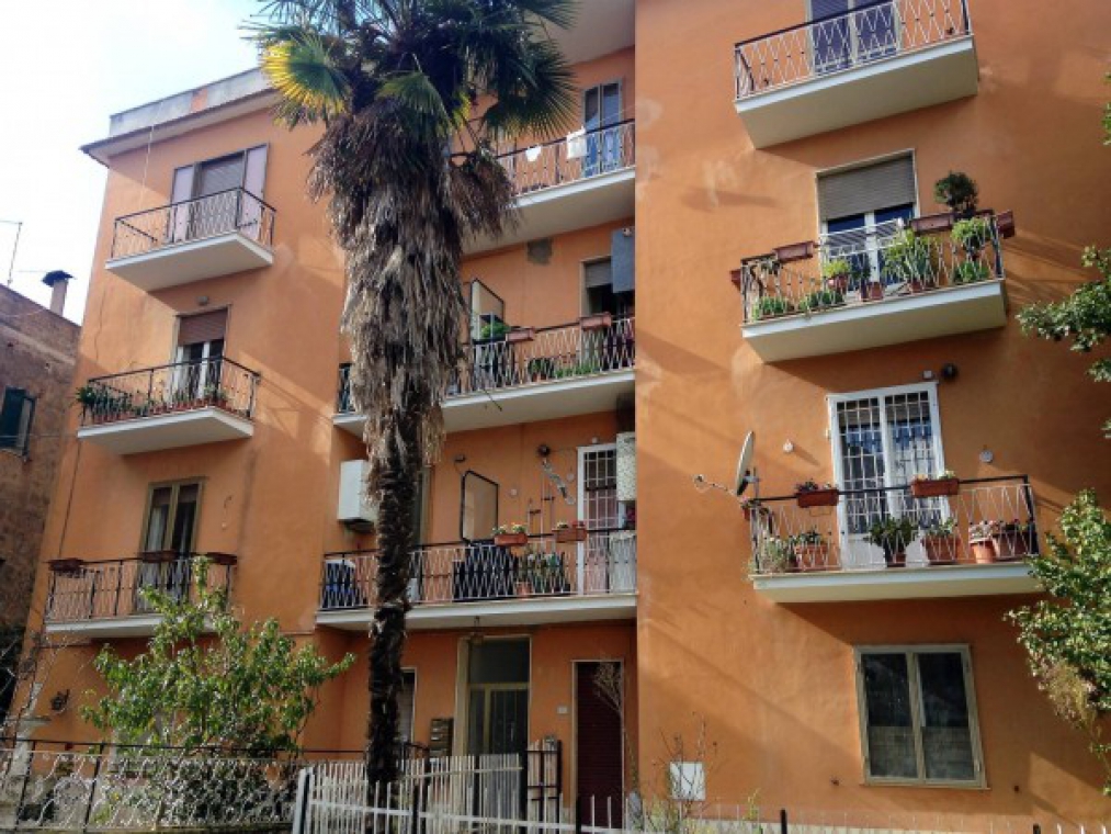 Appartamento_affitto_Nepi_foto_print_543091030.jpg