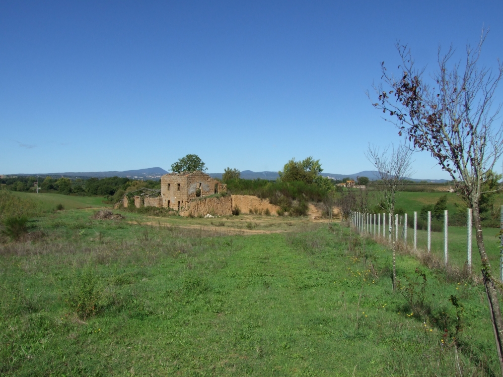 DSCF3950.JPG