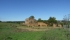 DSCF3952.JPG