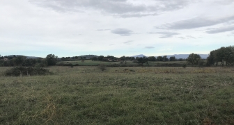 Terreno agricolo in vendita a Nepi